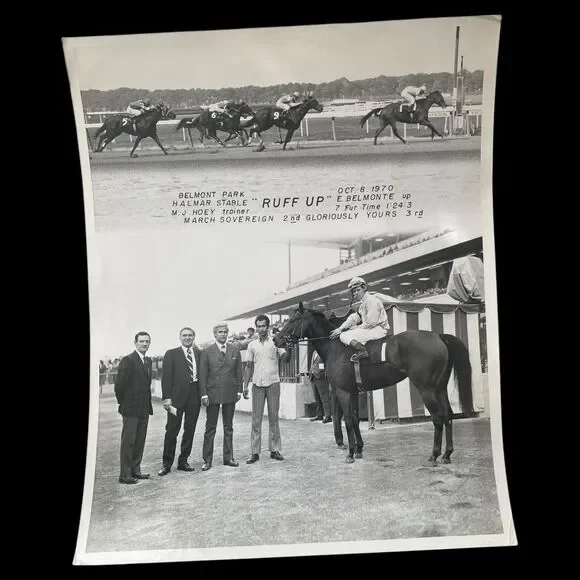 Vintage 1970 Belmont Park Horse Racing Photo Ruff Up Winner’s Circle - Picture 1 of 1